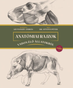 Anatómiai rajzok vadon élő állatokról - Európa - Sótonyi Péter (szerkesztő)