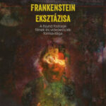 Frankenstein eksztázisa - Lichter Péter