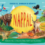 Nappal / Éjszaka - Innen is