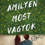 Amilyen most vagyok - Limitált élgrafikás kiadás - Amber Smith