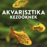 Akvarisztika kezdőknek - Hogyan hozzuk létre első akváriumunkat halak