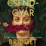 A csendgyár - Bridget Collins