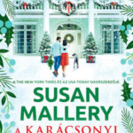 A karácsonyi vendég - Susan Mallery